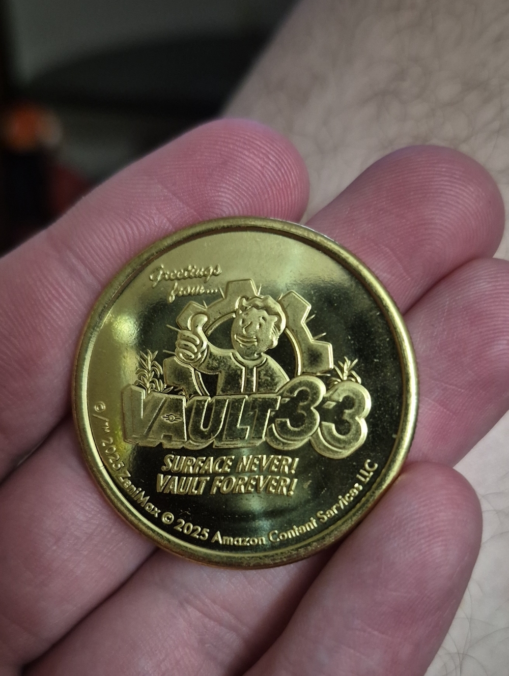 Fallout Vault 33 Gold Medallion